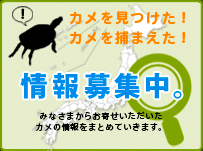 淡水性カメ類の全国マップ